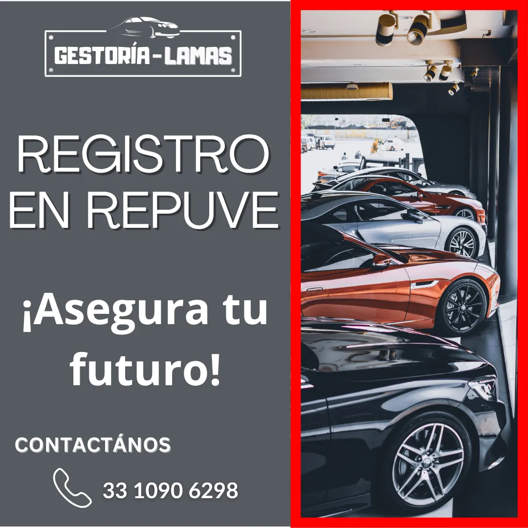 Diseño 62