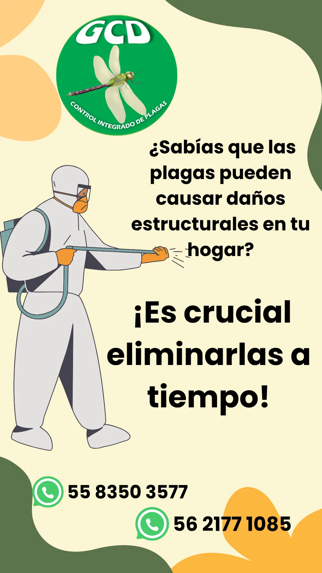Diseño 37