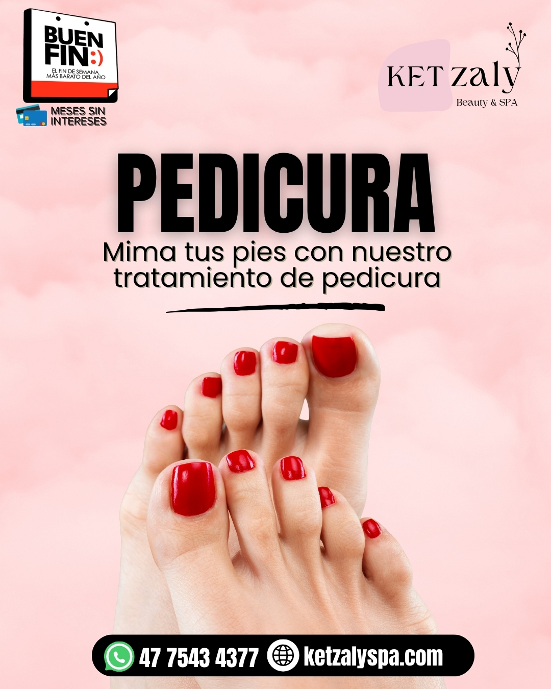 Diseño 5