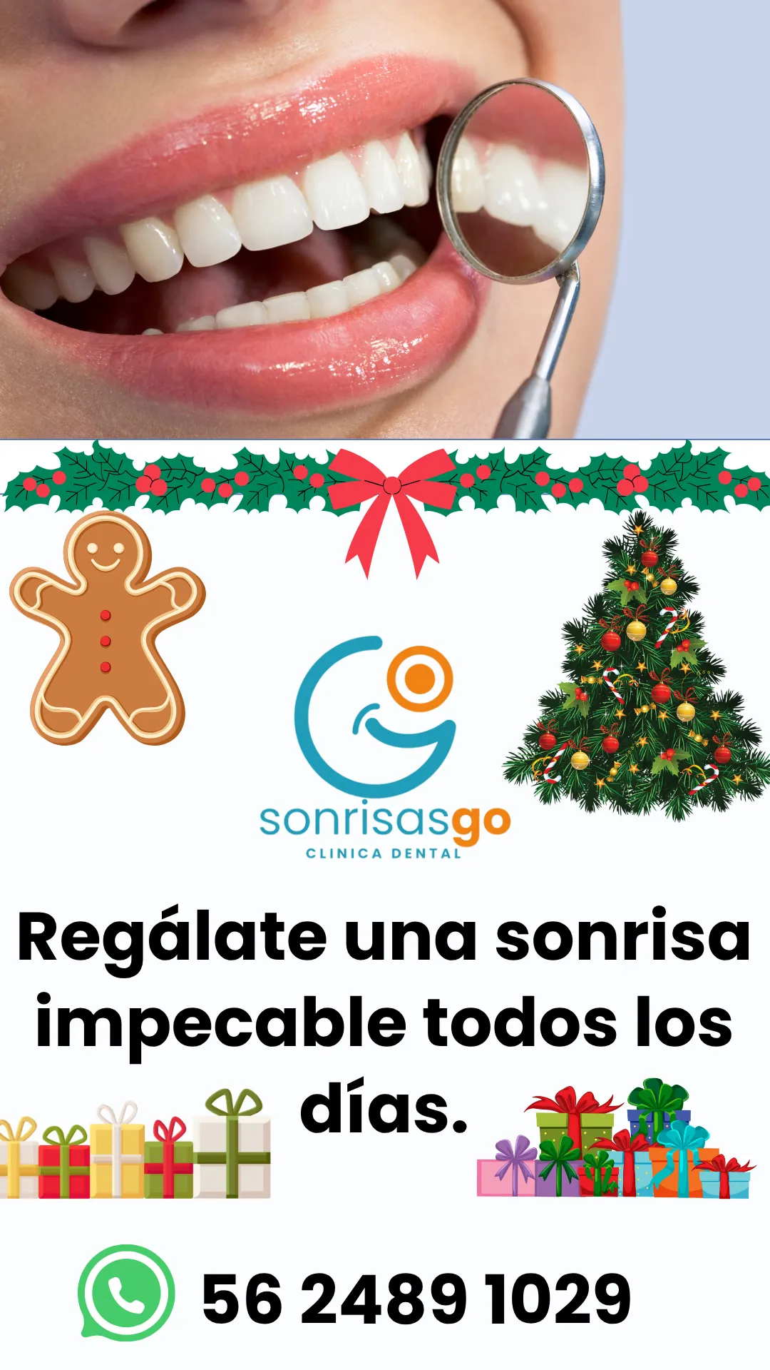 Diseño 43
