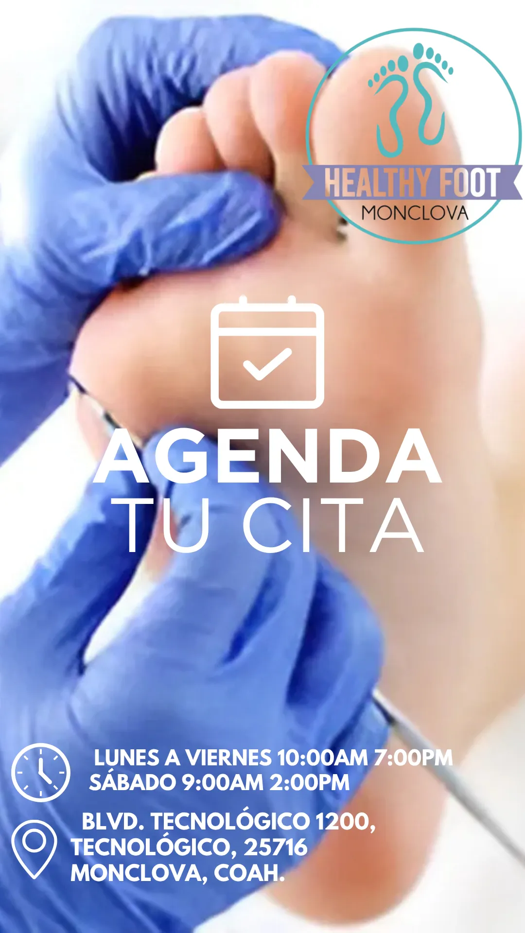 Diseño 43