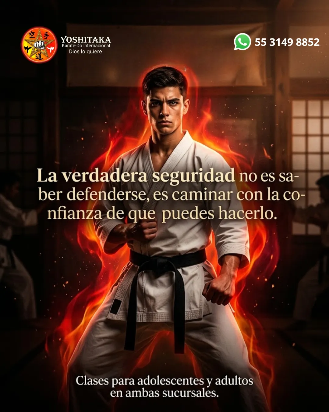 Diseño 13