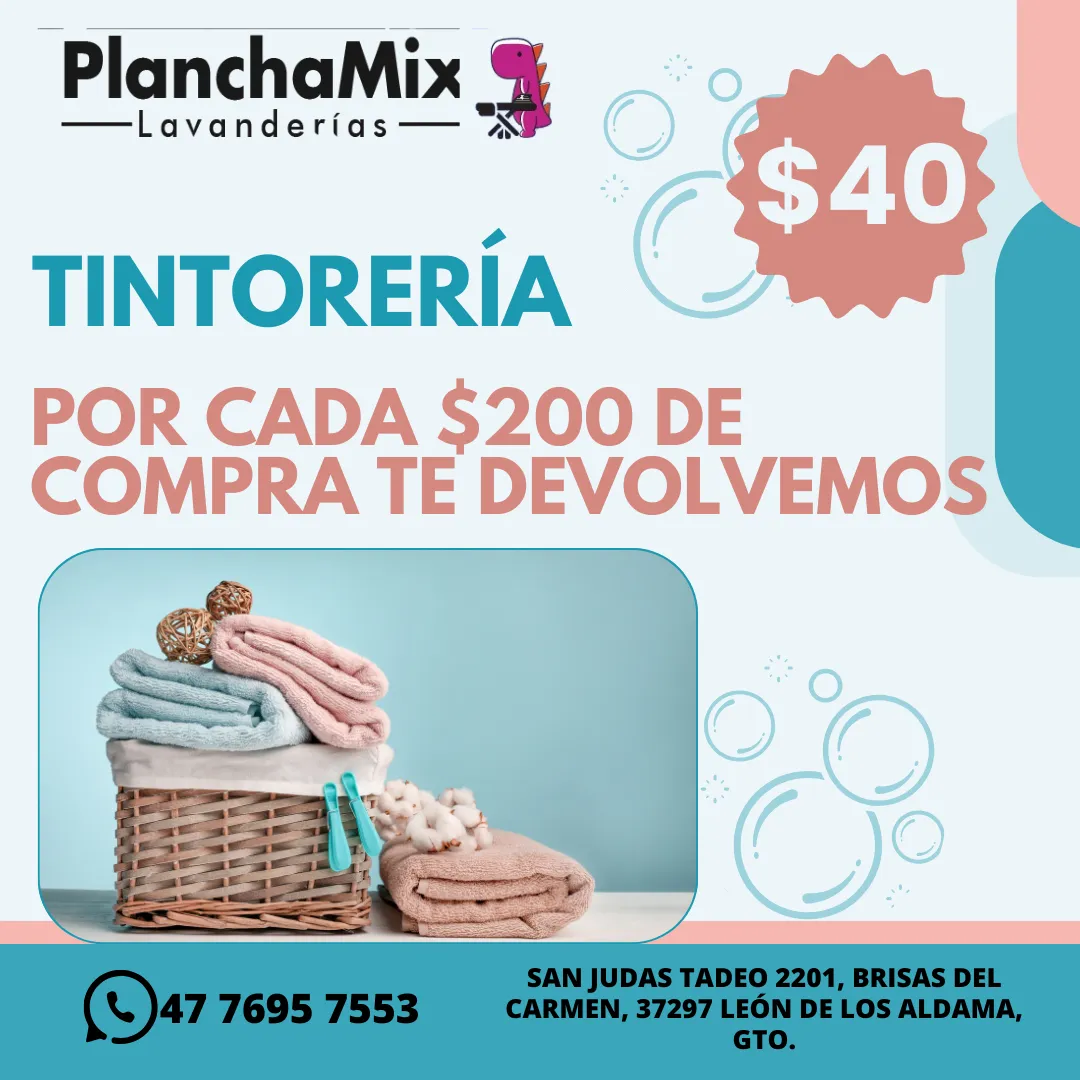 Diseño 77