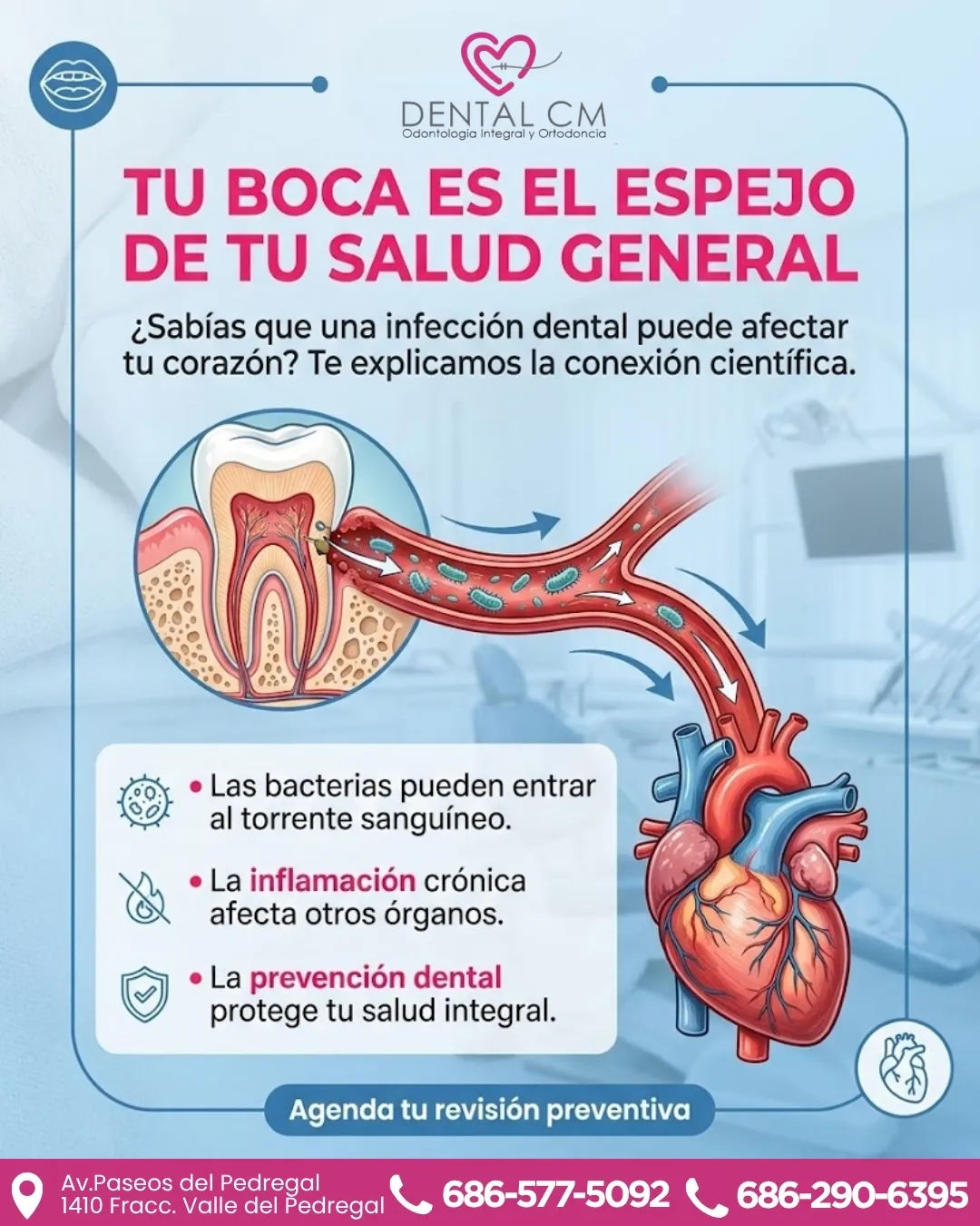 Diseño 67