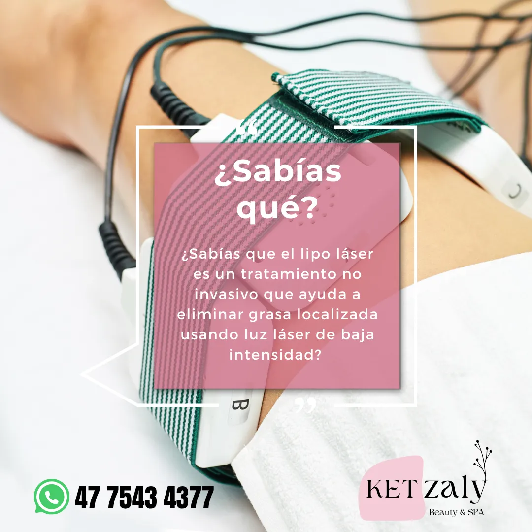 Diseño 131