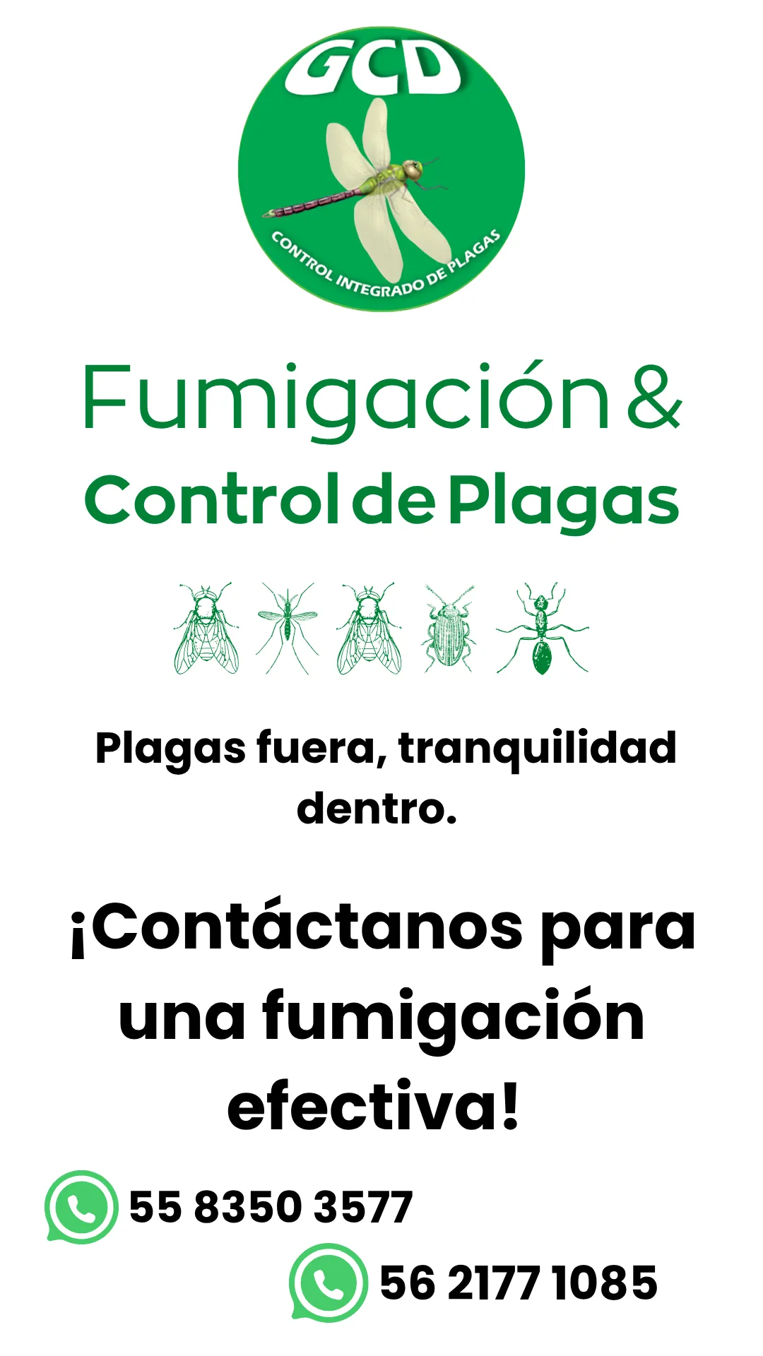 Diseño 27