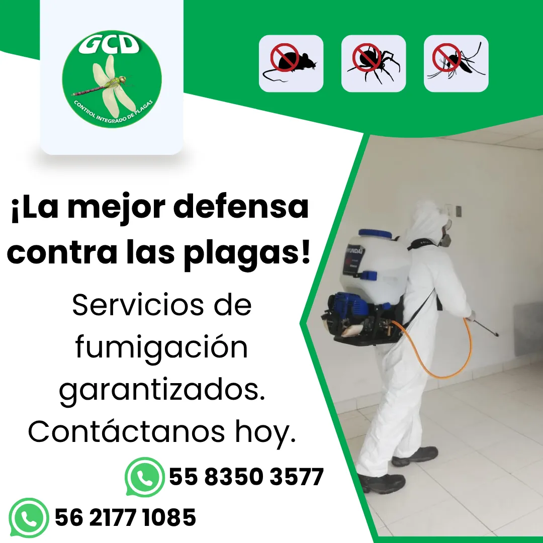 Diseño 47