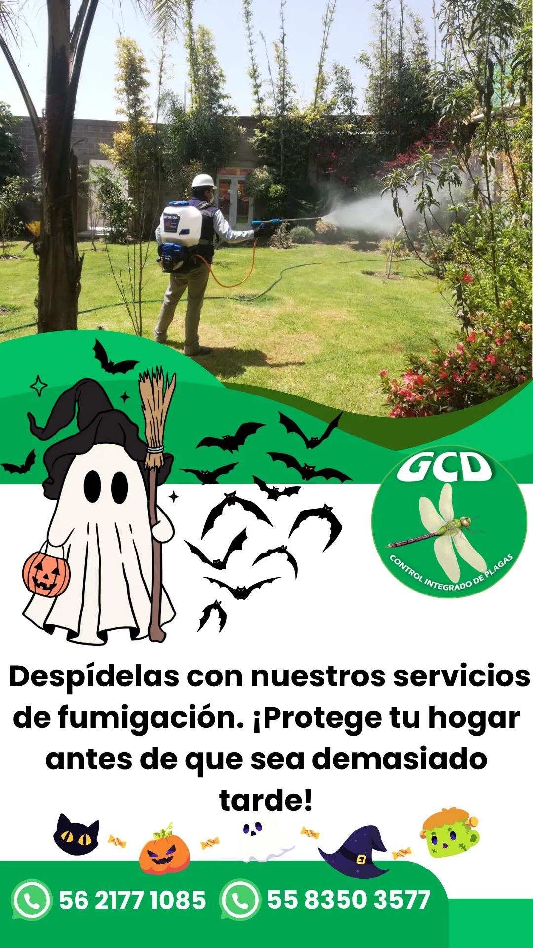Diseño 107