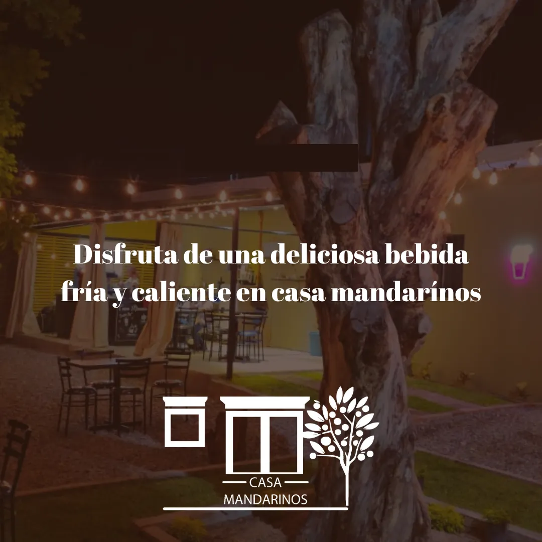 Diseño 6