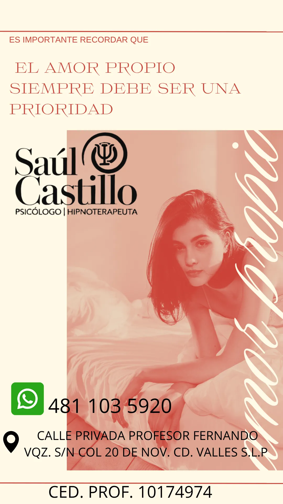 Diseño 17