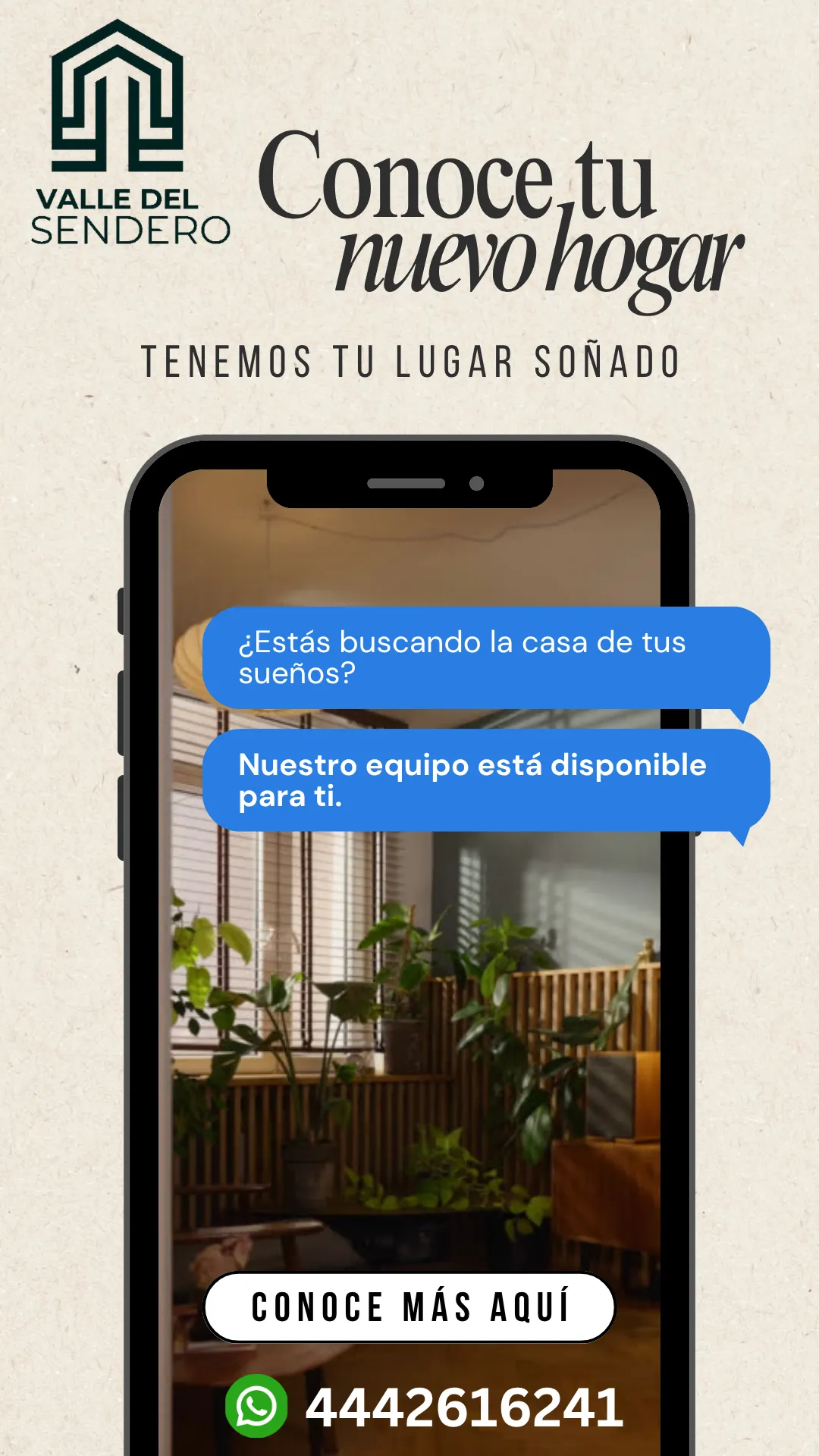 Diseño 31