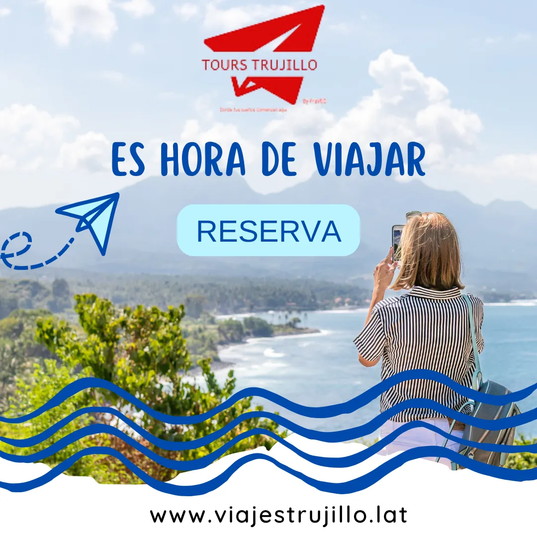 Diseño 47