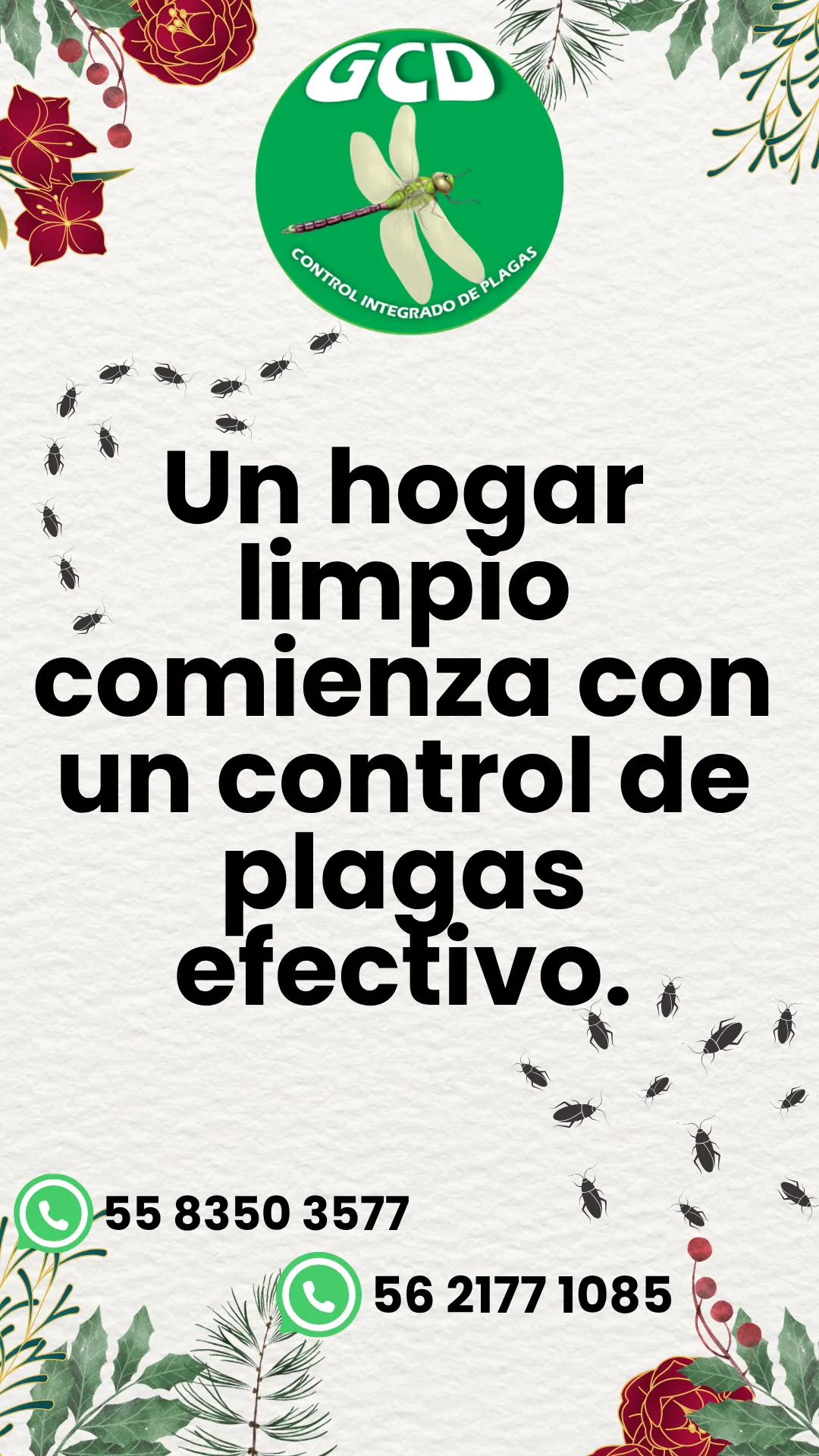 Diseño 26