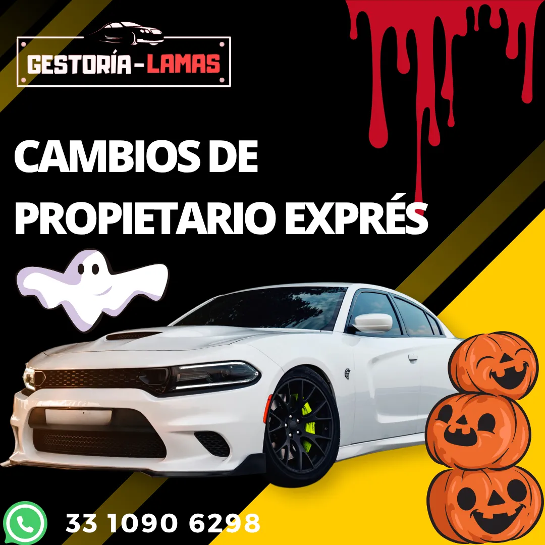 Diseño 127
