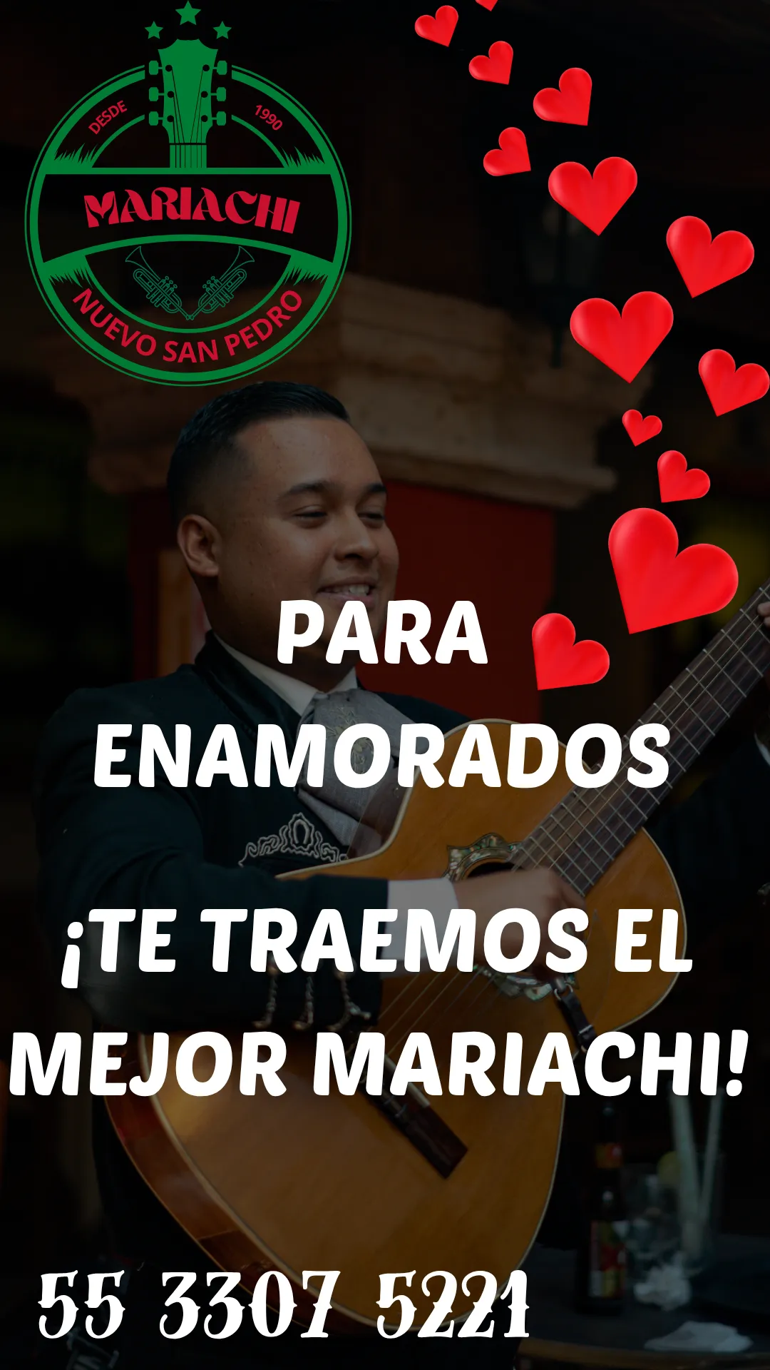 Diseño 15