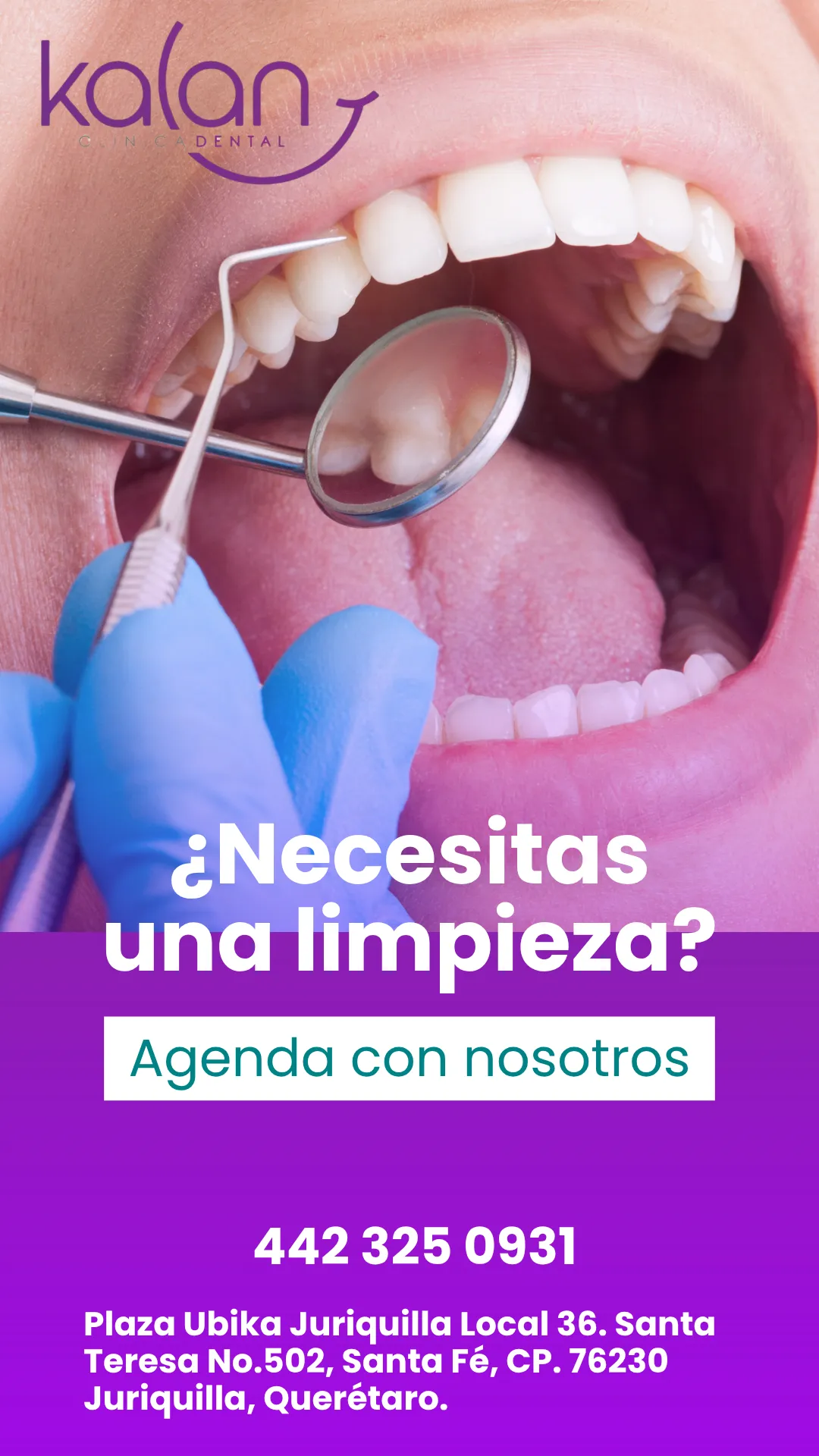 Diseño 24