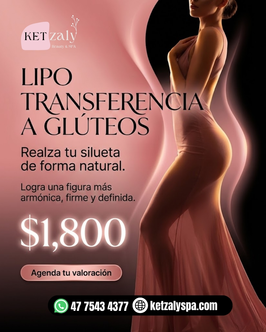 Diseño 91