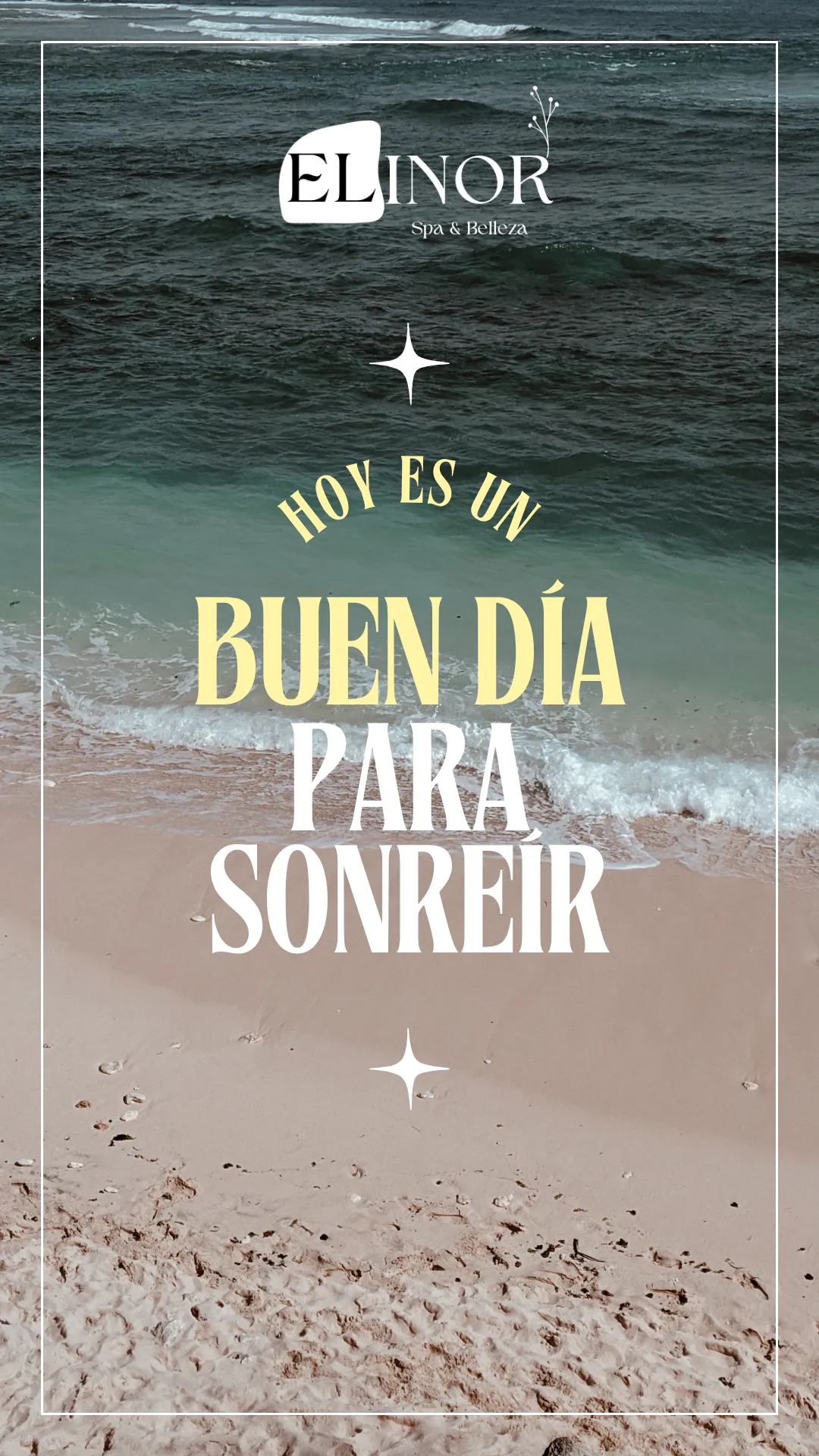 Diseño 14