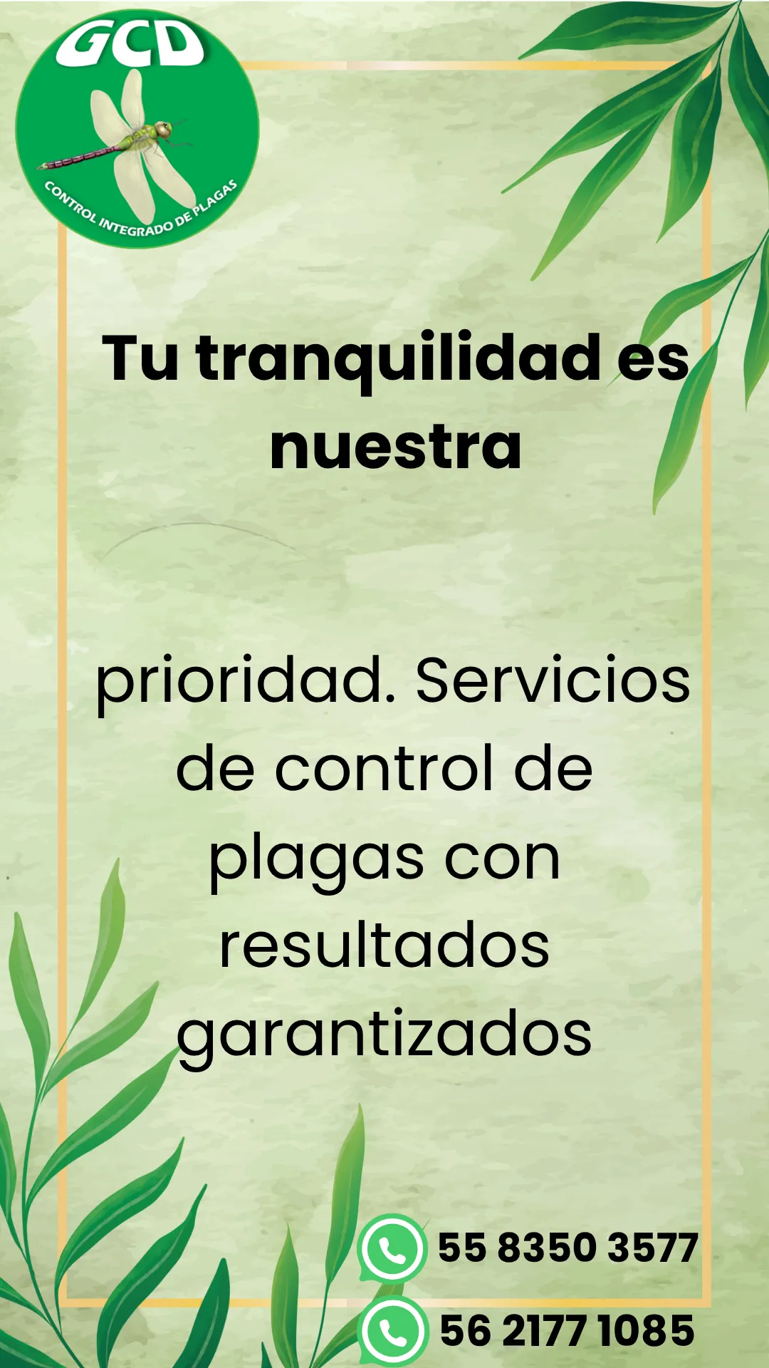 Diseño 40