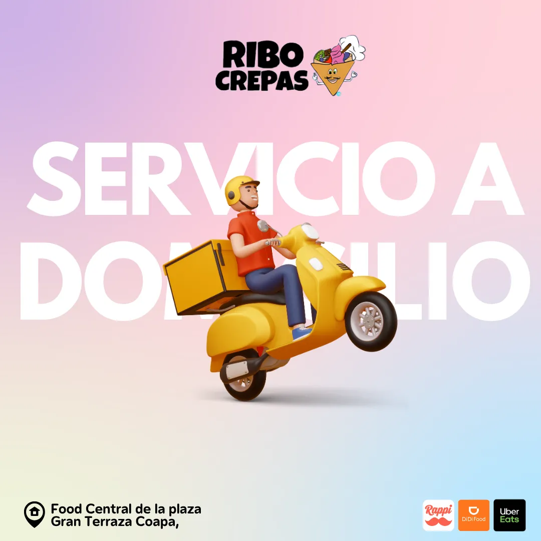 Diseño 16