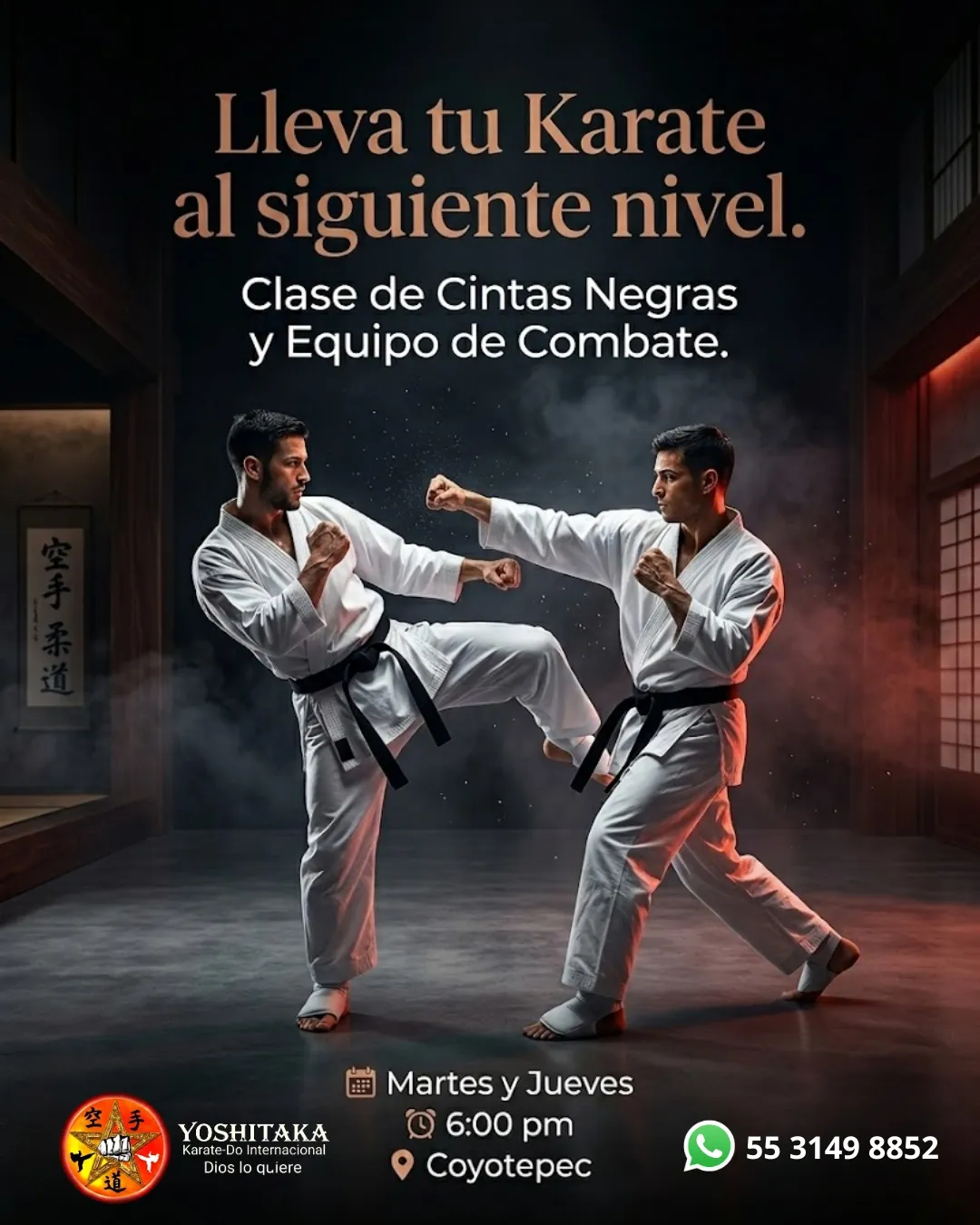Diseño 20
