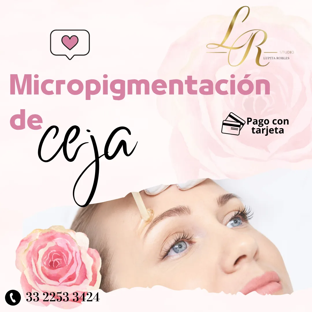 Diseño 61