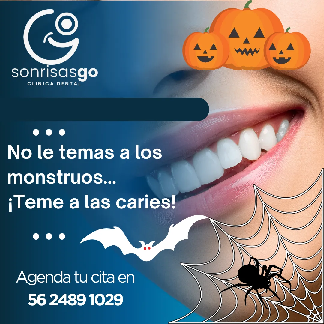 Diseño 142