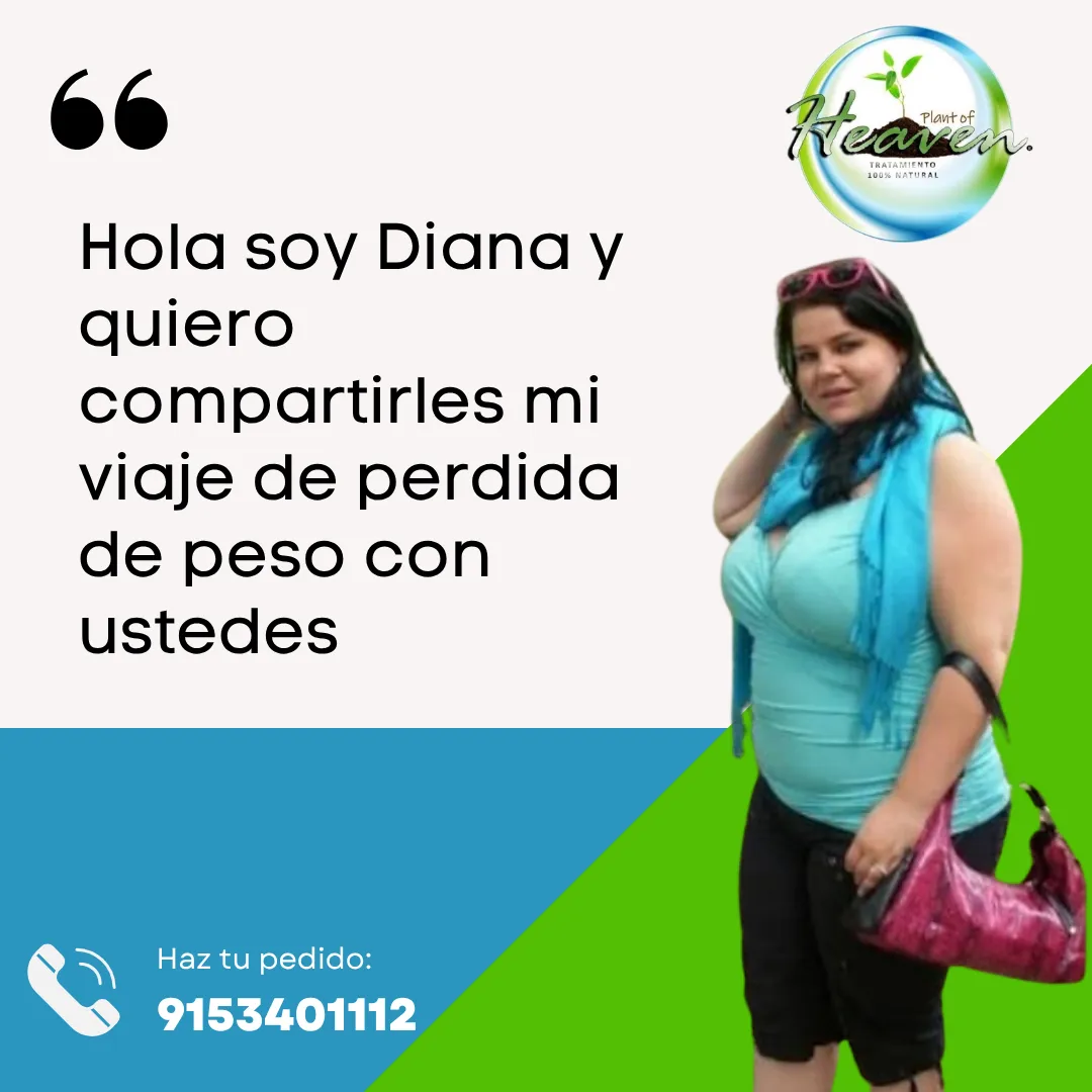 Diseño 21