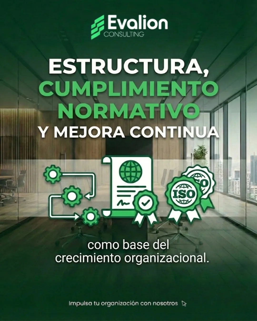 Diseño 12