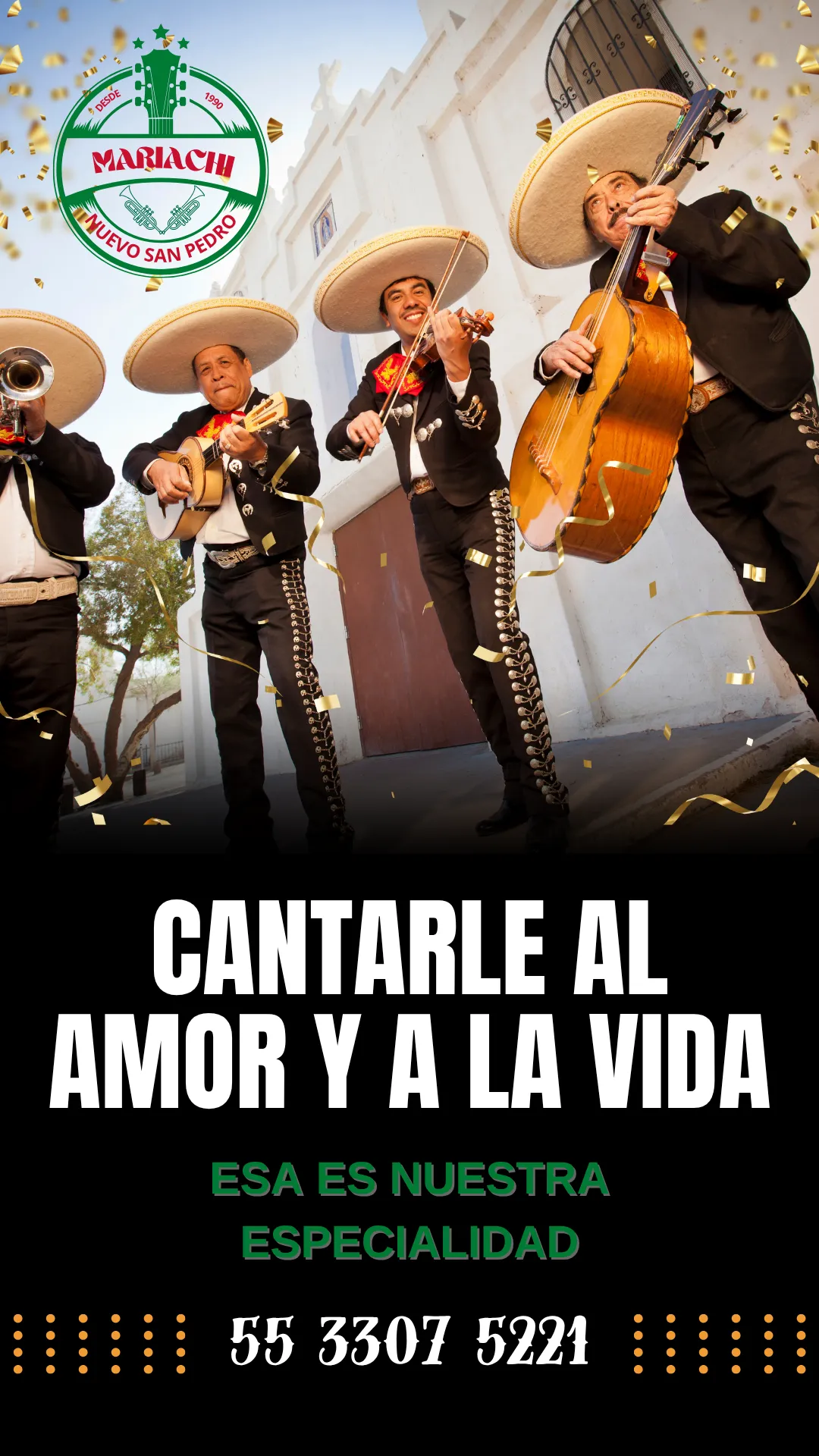 Diseño 14