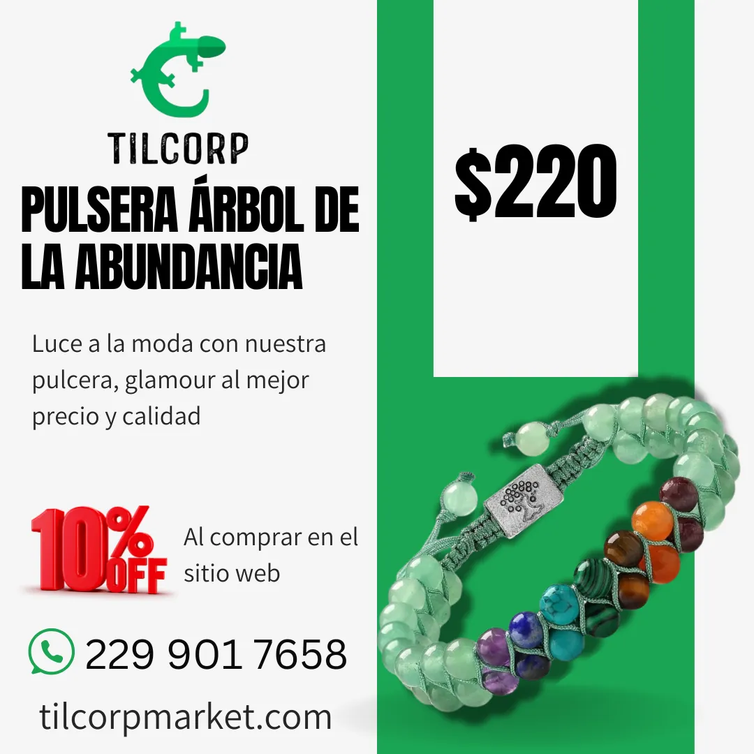 Diseño 20