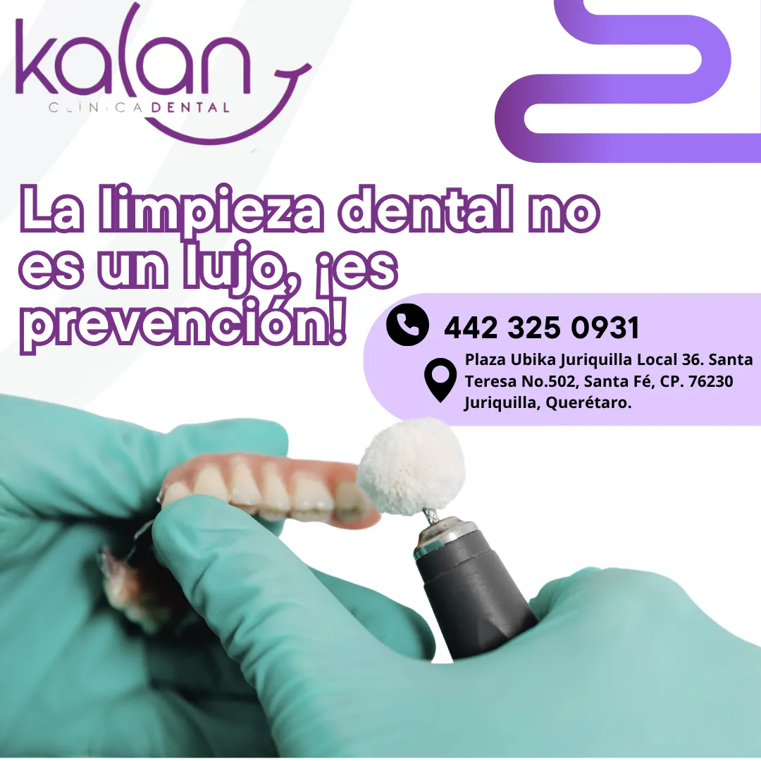 Diseño 105