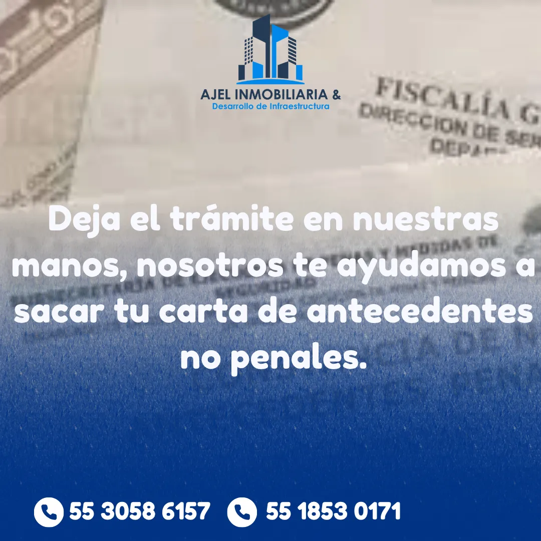 Diseño 19