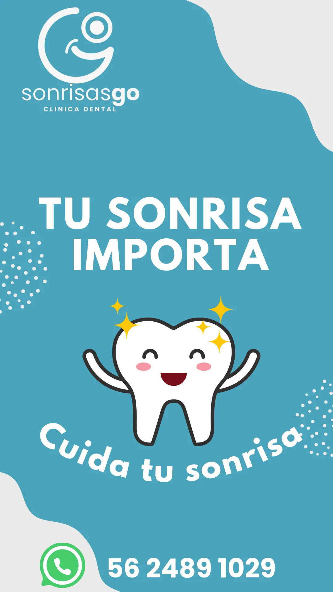 Diseño 81