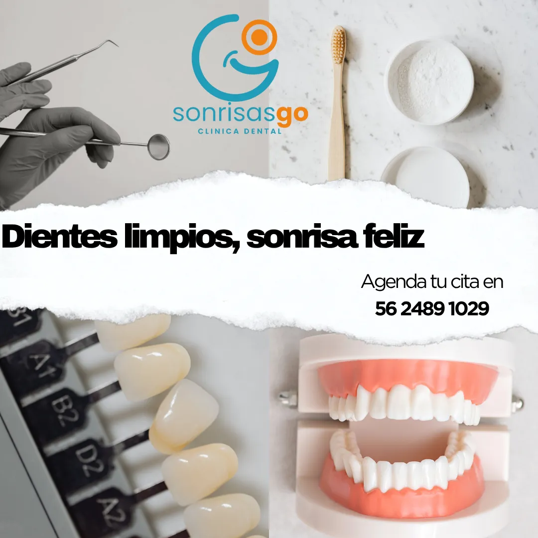 Diseño 10