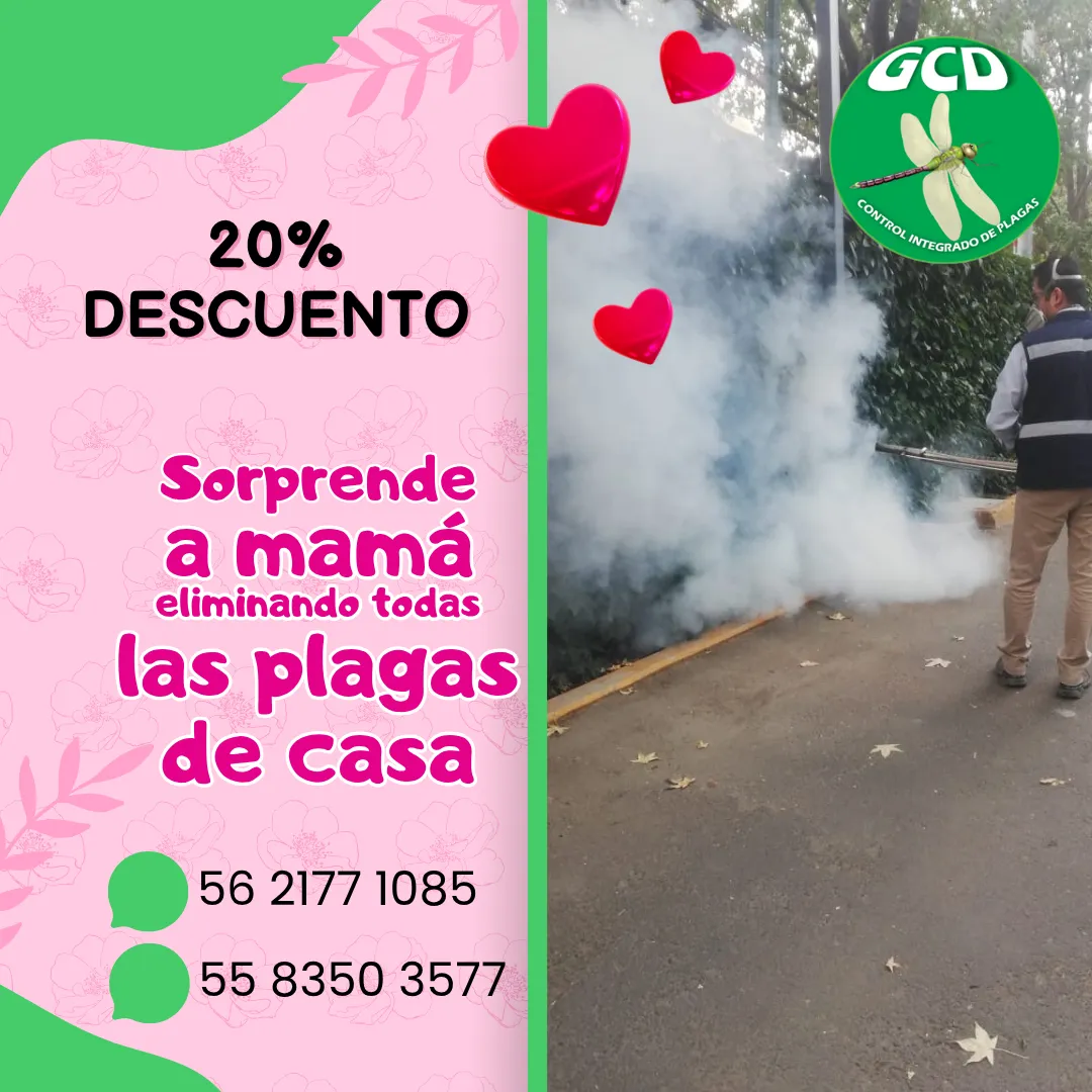 Diseño 4