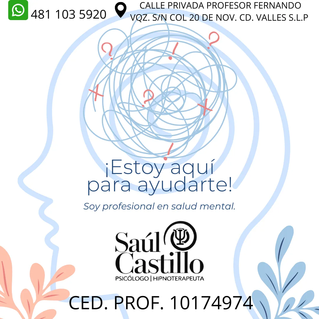 Diseño 24
