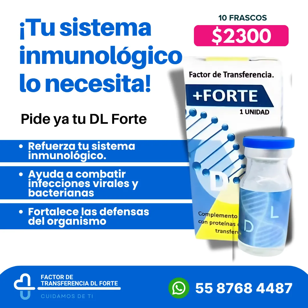 Diseño 20