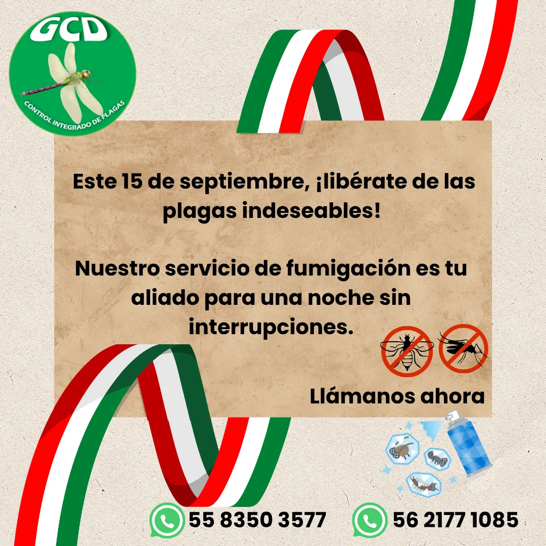 Diseño 76