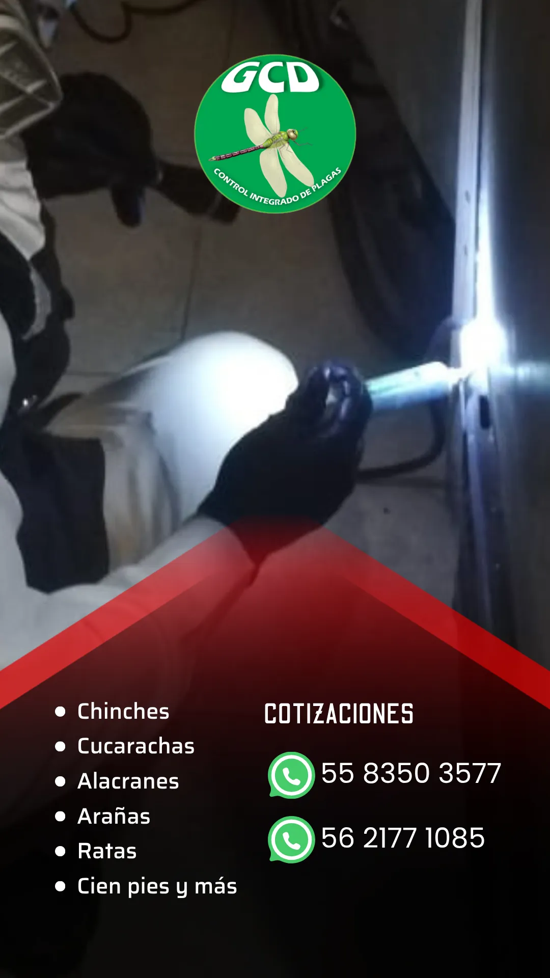 Diseño 29