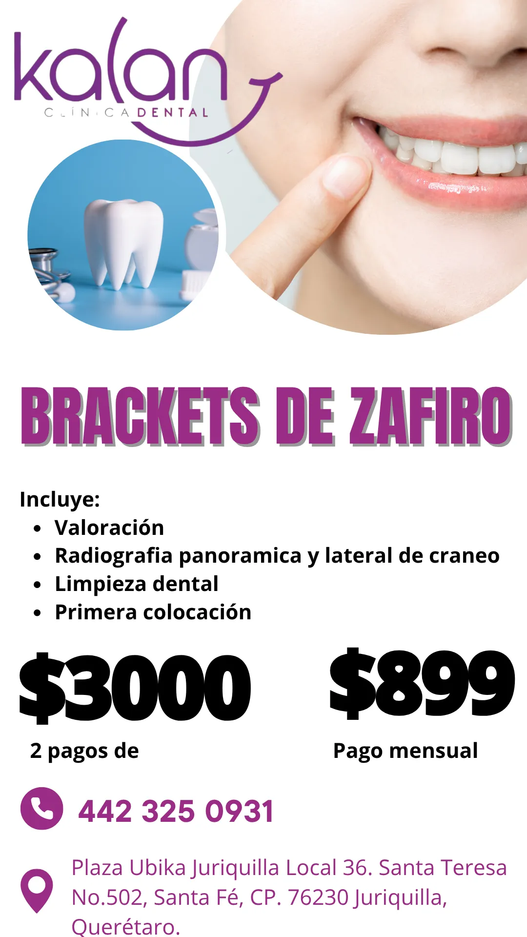 Diseño 59