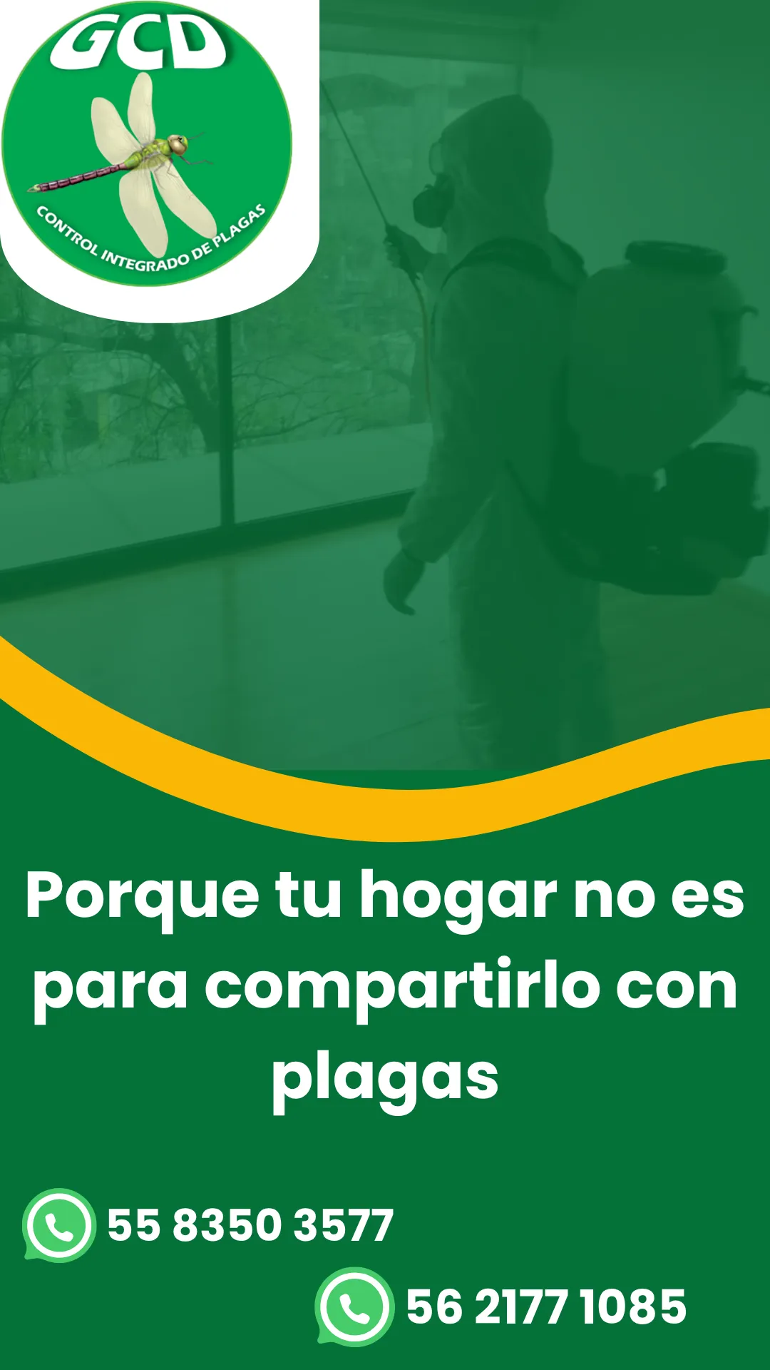 Diseño 134