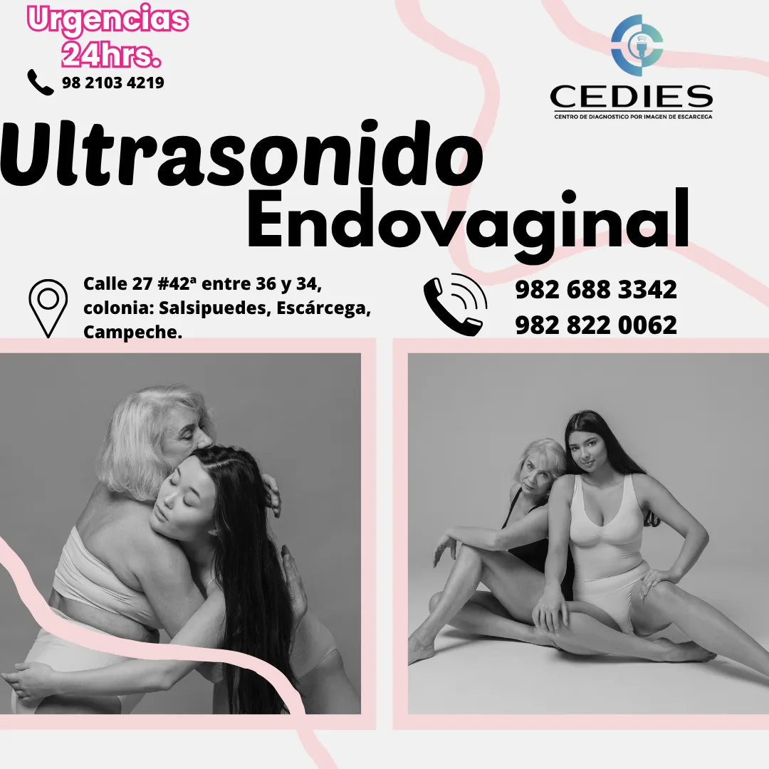 Diseño 105