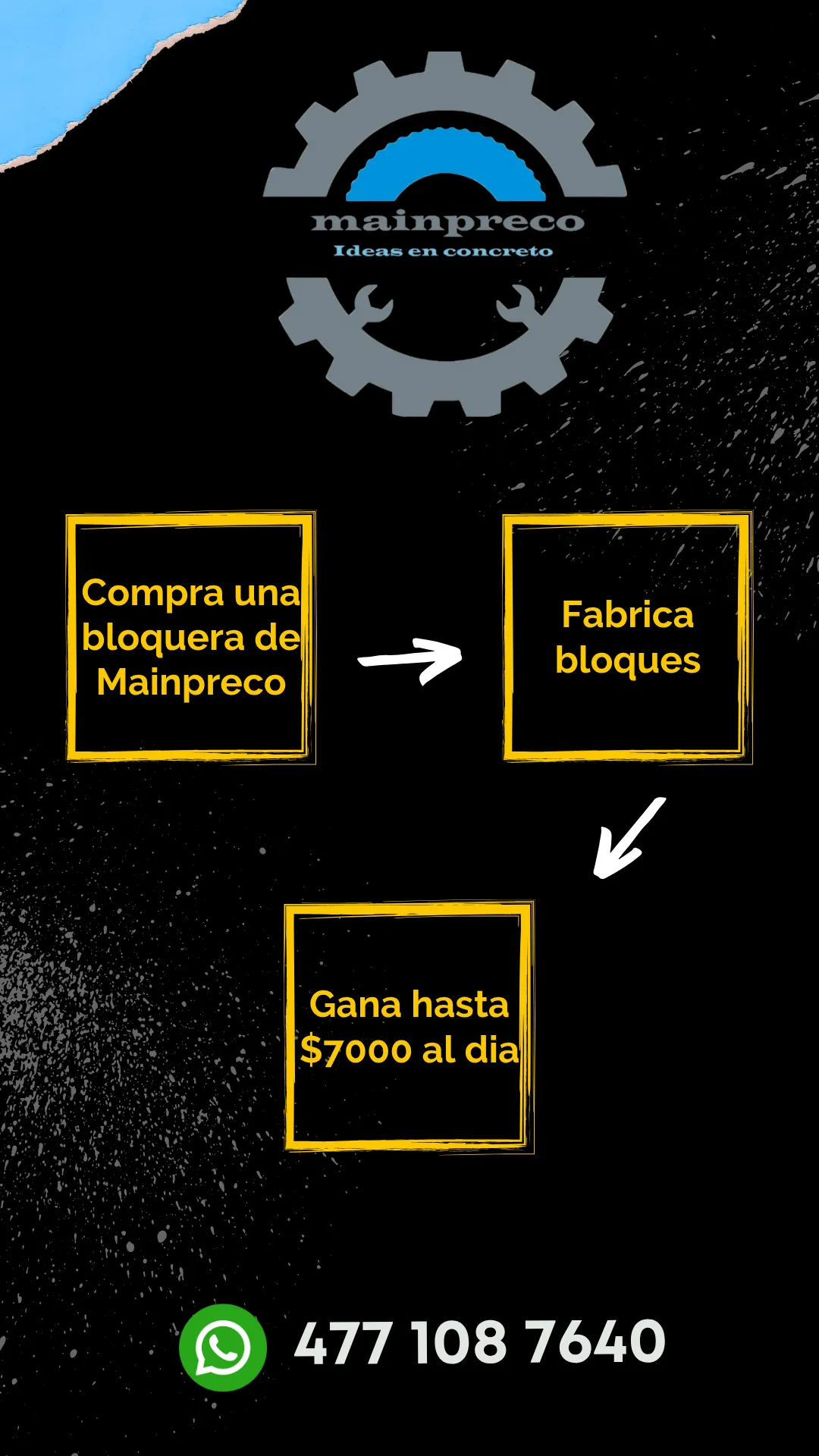 Diseño 55