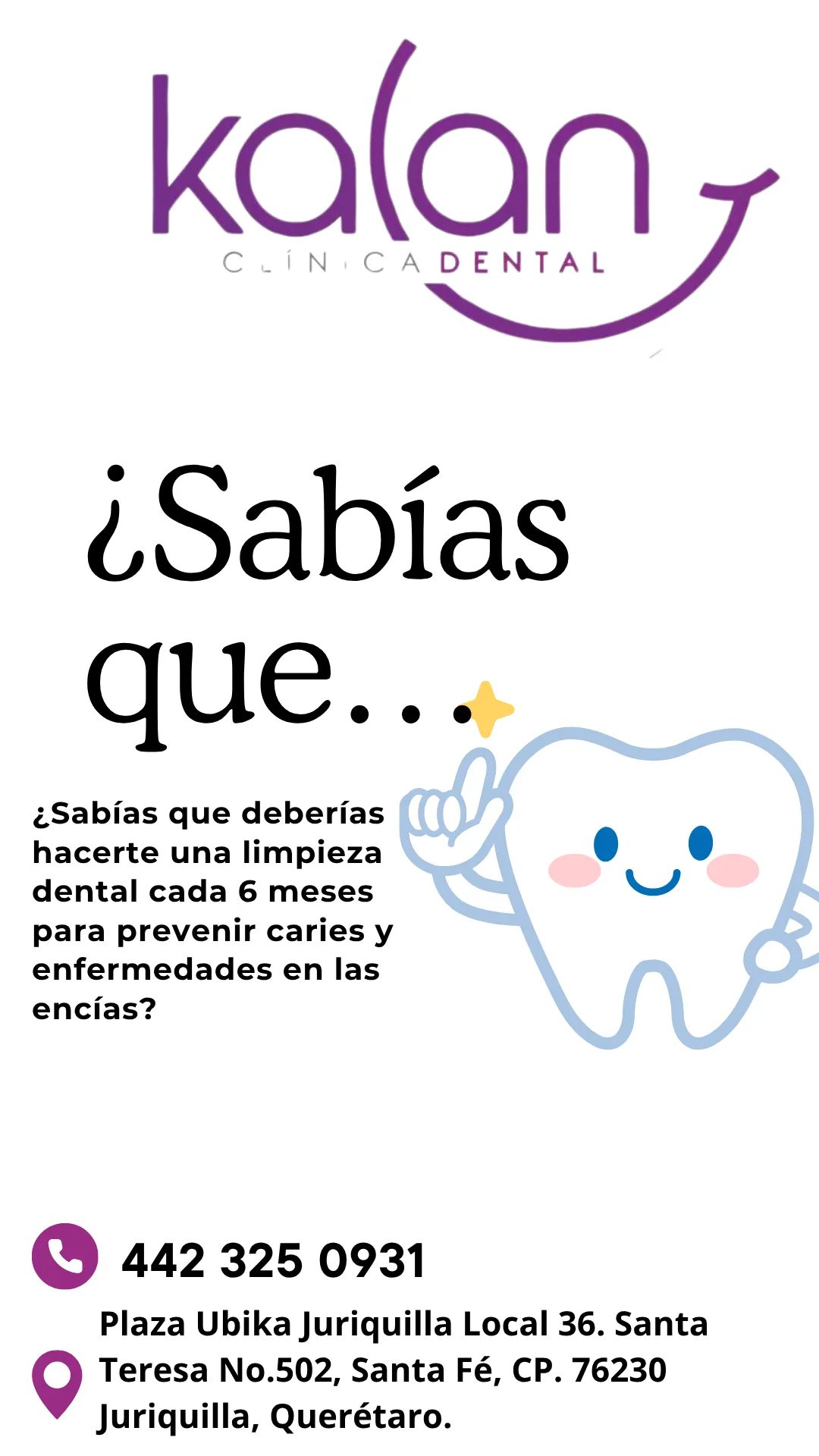 Diseño 62