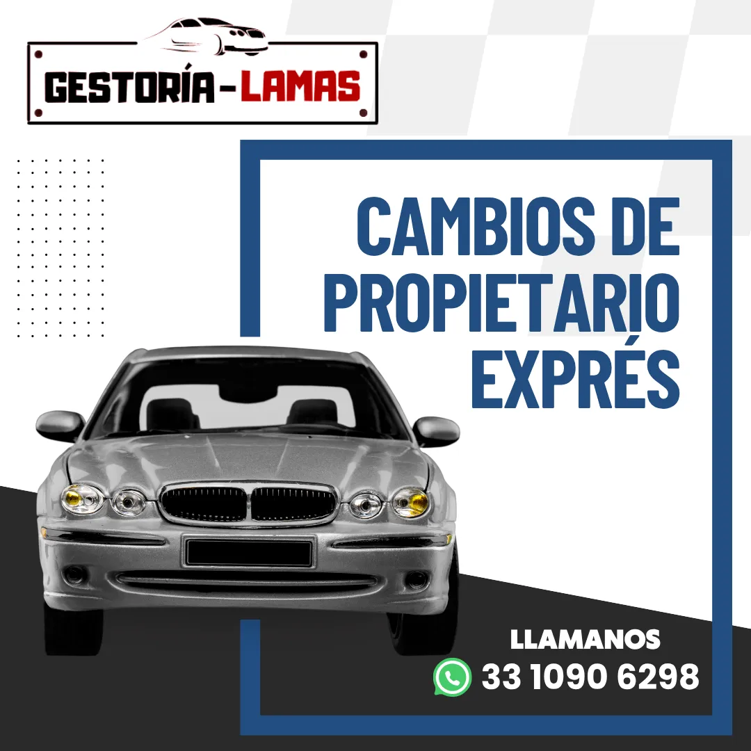 Diseño 84