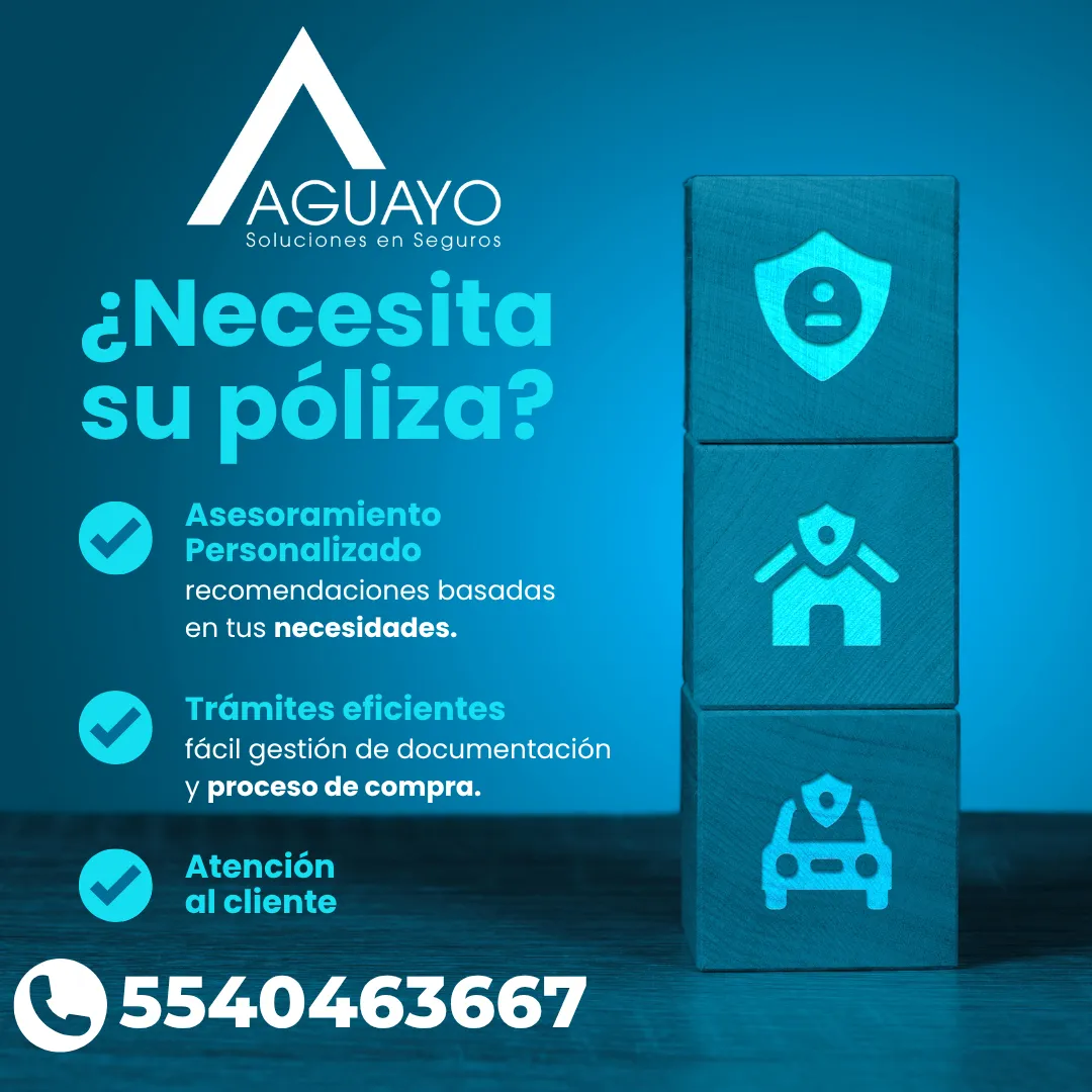 Diseño 12