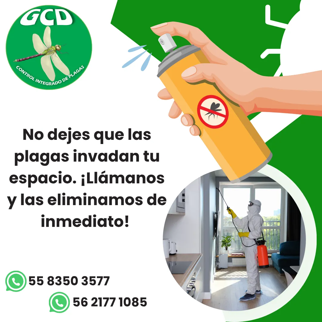 Diseño 36