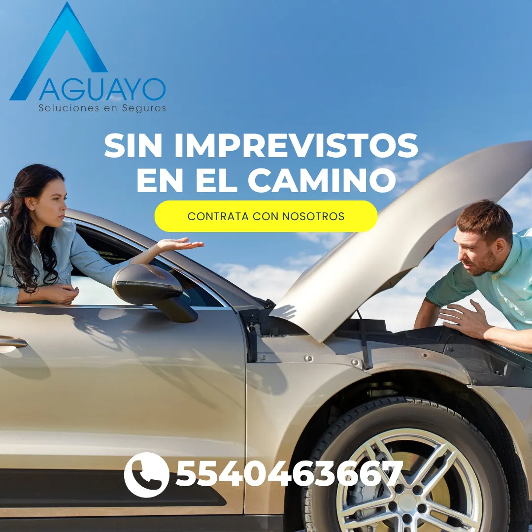Diseño 26