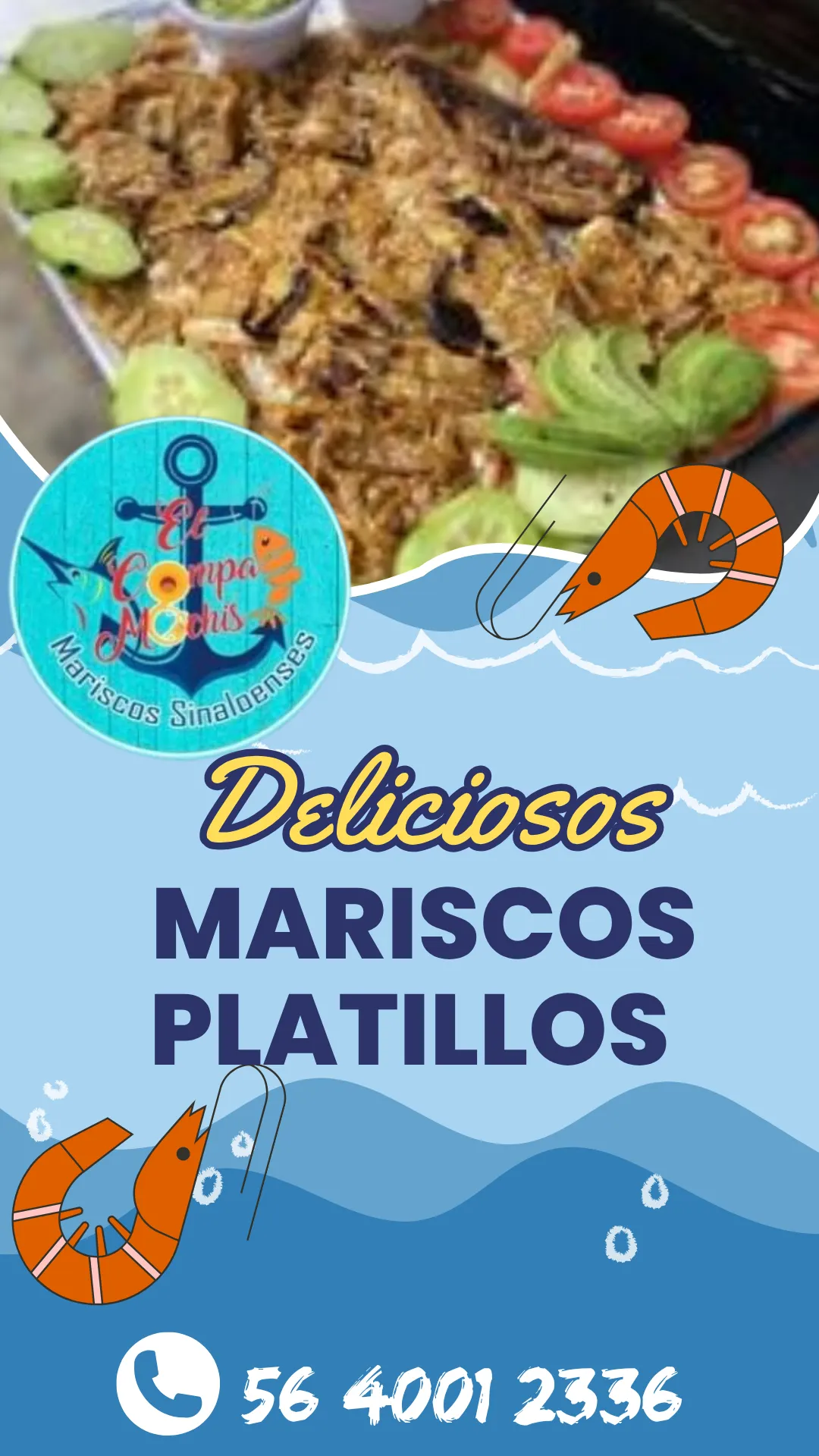 Diseño 6